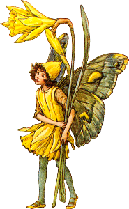 a flower fairy with a daffodil